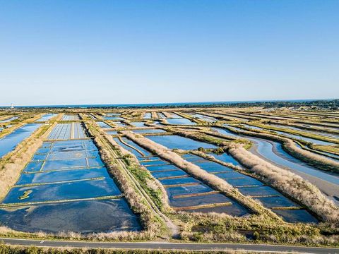 Flower Camping Les Dunes - Camping Vendée - Image N°17