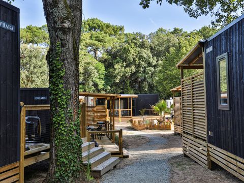 Flower Camping Les Dunes - Camping Vendée - Image N°34