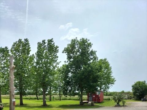 Camping Au Vent des Marais - Camping Vendée - Image N°4