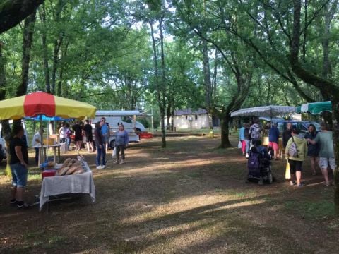 Camping Sites et Paysages - Les Hirondelles  - Camping Lot