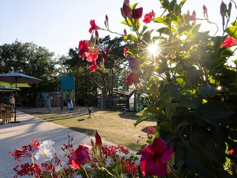 Camping Sites et Paysages - Les Hirondelles  - Camping Lot - Image N°11