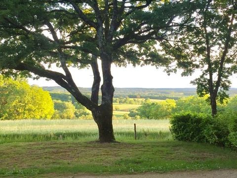 Camping Sites et Paysages - Les Hirondelles  - Camping Lot - Image N°31