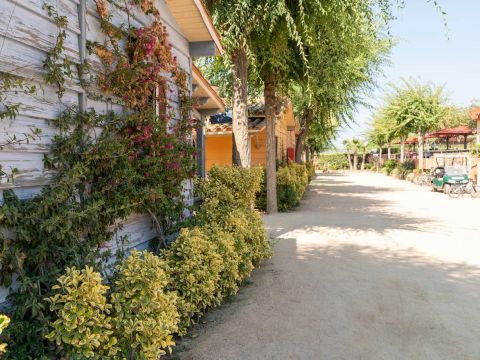 Camping Del Mar - Camping Barcelone - Image N°26