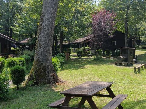 Camping Relais du Léman Pausado - Camping Haute-Savoie - Image N°11