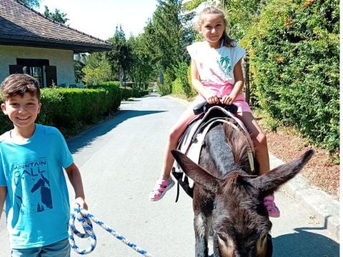 Camping Relais du Léman Pausado - Camping Haute-Savoie - Image N°30