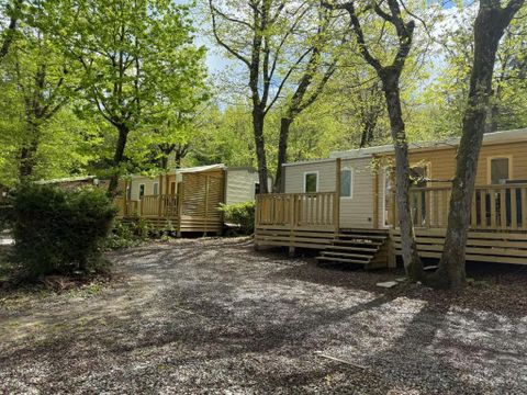 Camping Relais du Léman Pausado - Camping Haute-Savoie - Image N°12