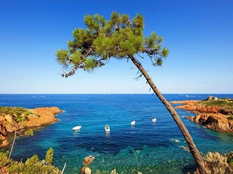 Camping La Provençale - Camping Alpes-Maritimes - Image N°55