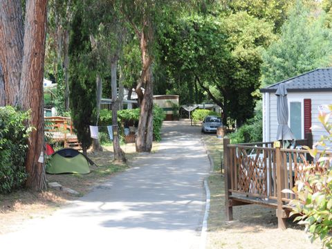 Camping Le Plateau des Chasses - Camping Alpes-Maritimes - Image N°21