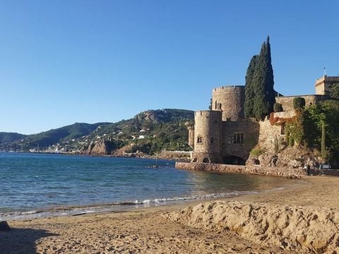 Camping La Provençale - Camping Alpes-Maritimes - Image N°53