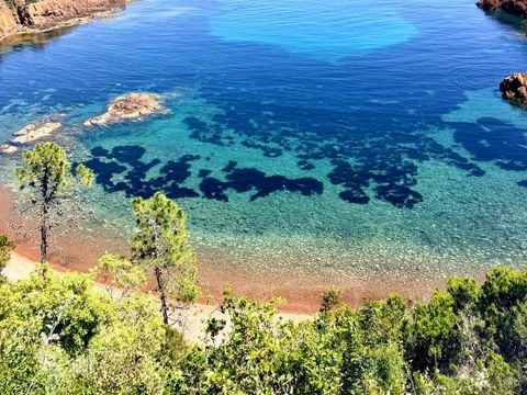 Camping La Provençale - Camping Alpes-Maritimes - Image N°61