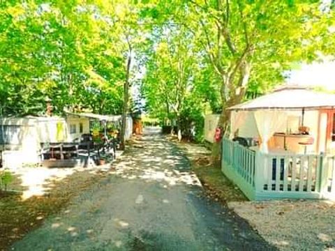 Camping Le Plateau des Chasses - Camping Alpes-Maritimes - Image N°22