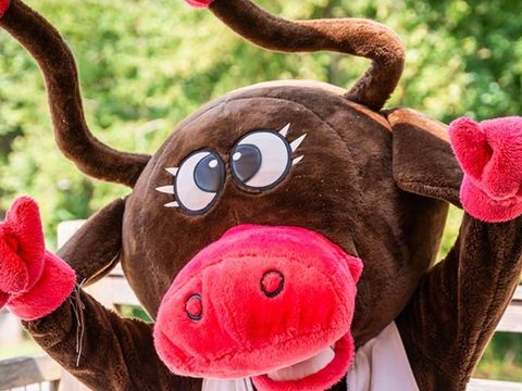 Village Tropical Sen-Yan - Camping Landes - Image N°19