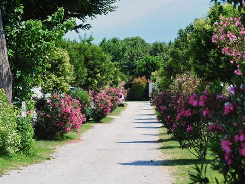 Camping Baia Verde  - Camping Brescia - Image N°28