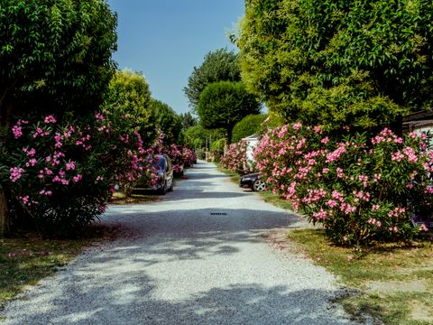 Camping Baia Verde  - Camping Brescia - Image N°46