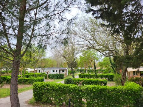 Camping Le Val de Cesse - Camping Aude - Image N°4