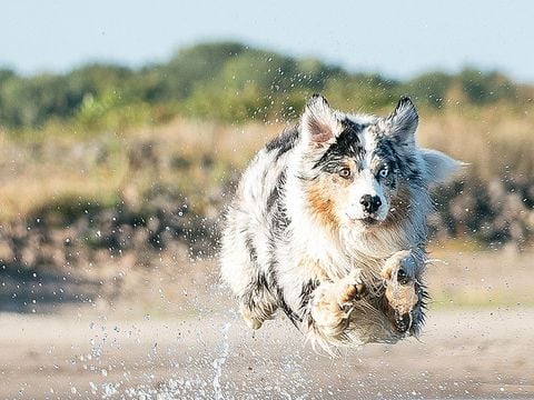 Camping Le Val de Cesse - Camping Aude - Image N°33