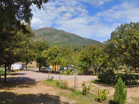 Camping E Canicce - Camping Corse du nord - Image N°6