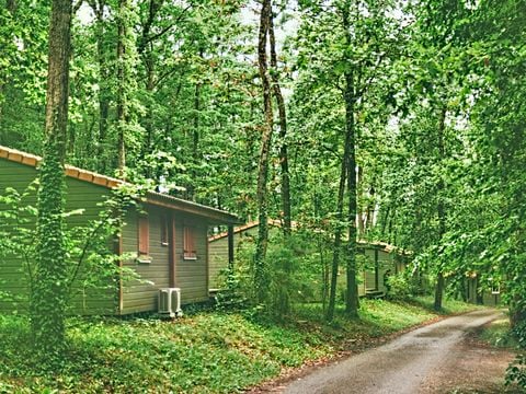 CHALET 6 personnes