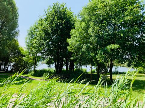 Natura Resort Pescalis - Camping Deux-Sèvres - Image N°21