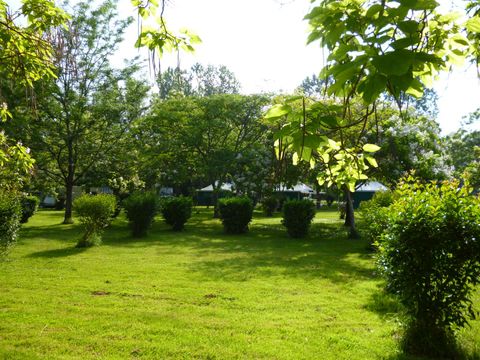 Emplacement - Camping pour tente, caravane ou camping-car sans électricité