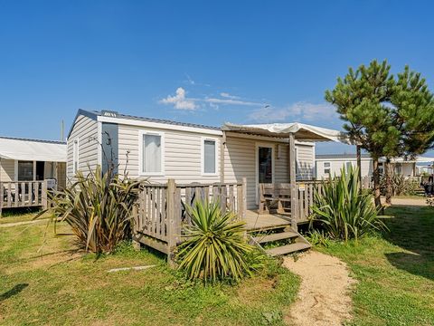 Camping Free Time - Camping Livorno - Image N°0