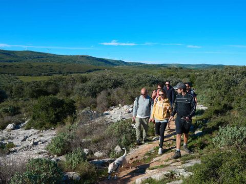 Camping Les Dunes et Soleil - Camping Herault - Image N°26