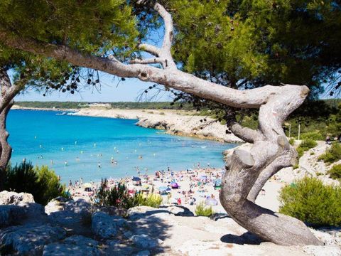 Camping Pascalounet - Camping Bouches-du-Rhône - Image N°27