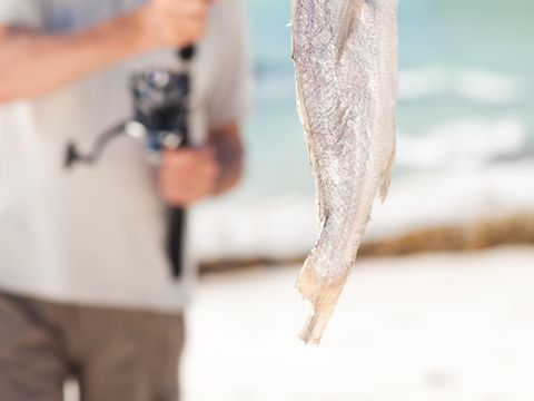 Camping Pascalounet - Camping Bouches-du-Rhône - Image N°31