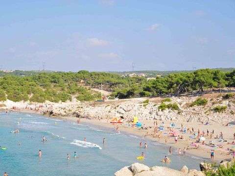 Camping Pascalounet - Camping Bouches-du-Rhône - Image N°28