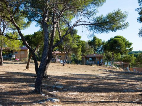 Camping Pascalounet - Camping Bouches-du-Rhône - Image N°24