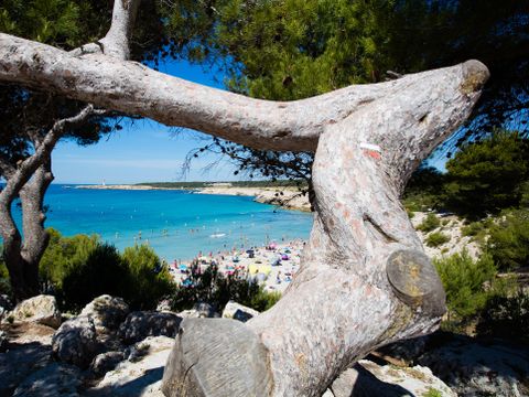 Camping Pascalounet - Camping Bouches-du-Rhône - Image N°13