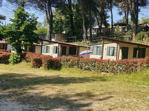 Camping Toscana Holiday Village - Camping Pise - Image N°15