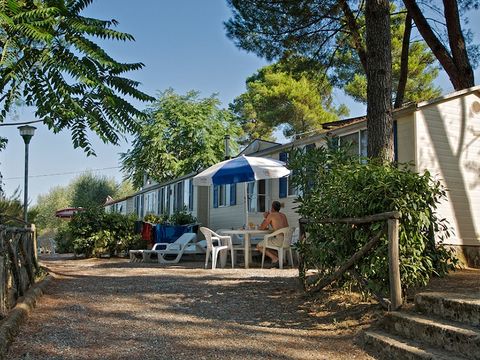Camping Toscana Holiday Village - Camping Pise - Image N°13
