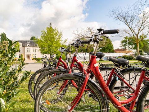 Camping Sandaya Le Château des Marais  - Camping Loir-et-Cher - Image N°13