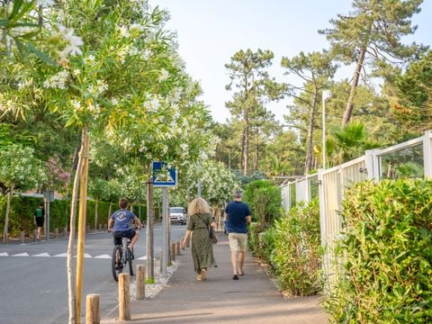 Camping Le Vieux Port - Camping Landes - Image N°50