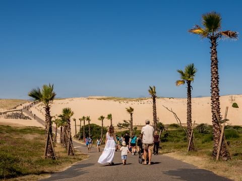 Camping Le Vieux Port - Camping Landas - Image N°29