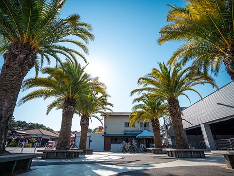 Camping Le Vieux Port - Camping Landes - Image N°54