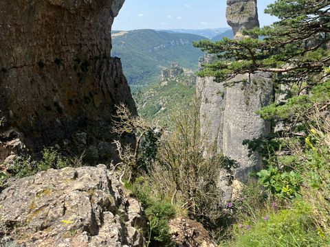 Domaine Aigoual Cévennes - Camping Lozere - Image N°9