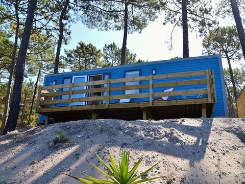 BUNGALOW 6 personnes - Bungalow Ohai+ 6 pers