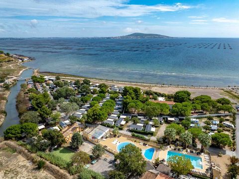 Camping Beau Rivage - Ciela Village - Camping Hérault - Image N°22