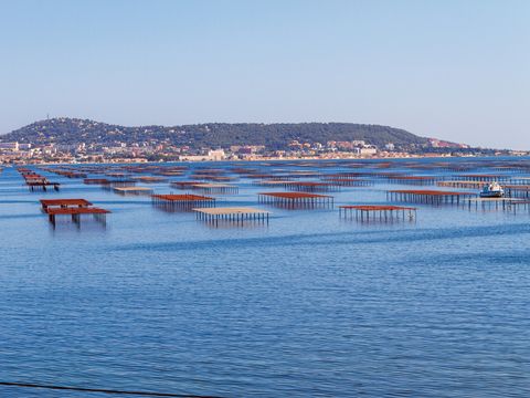 Camping Beau Rivage - Ciela Village - Camping Hérault - Image N°15