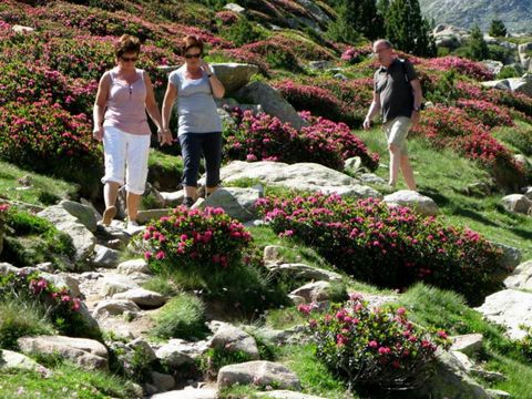 Camping La Garenne - Camping Pyrénées-Orientales - Image N°20