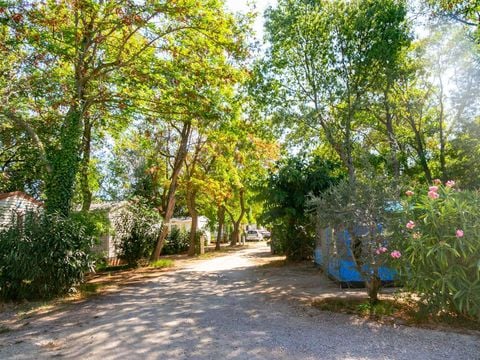 Camping La Garenne - Camping Pyrénées-Orientales - Image N°27