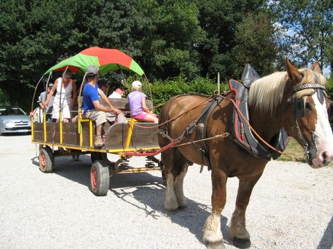 Camping Le Moulin de Rambourg - Camping Vendée