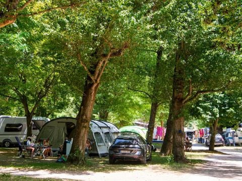 Flower Camping Saint Lambert - Camping Aveyron - Image N°39