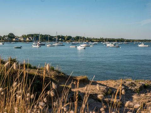 Camping et Parc Les Goelands  - Camping Morbihan - Image N°21