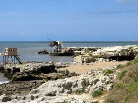 Camping Les 2 Salamandres - Camping Charente-Maritime - Image N°19