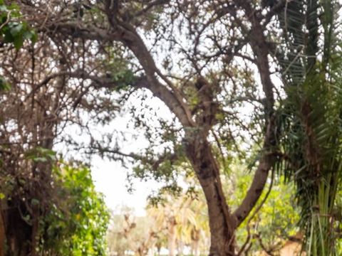 STUDIO 2 personnes - Maset