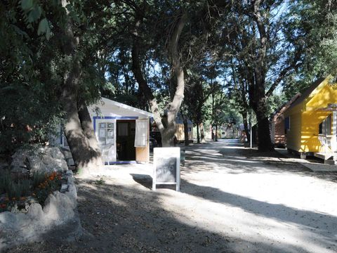 Camping Paradis Bellerive - Camping Gard - Image N°4