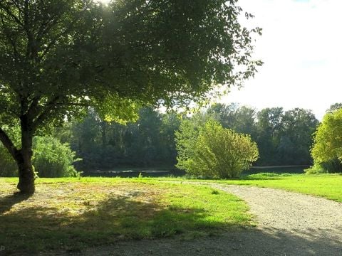 Camping Paradis Bellerive - Camping Gard - Image N°11